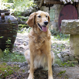 Entry image for Bella