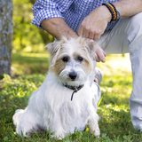 Entry image for Tiggy