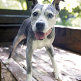 Entry image for Sasha