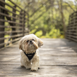 Entry image for Tuli 