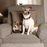 Entry image for Rusty