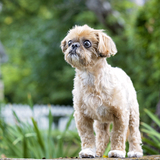 Entry image for Harper