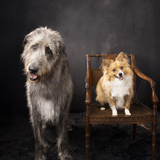 Entry image for Murphy Nugget 