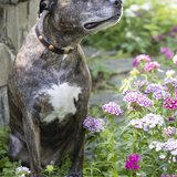 Entry image for Zeus 