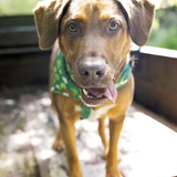 Entry image for Diego