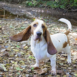 Entry image for Truman