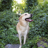 Entry image for Arwin