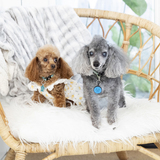 Entry image for DeanMartin MillieMae