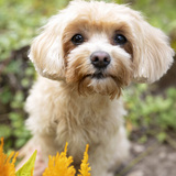 Entry image for EllaMae