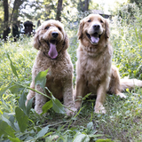 Entry image for George Jack