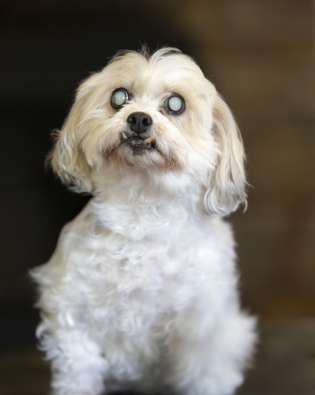 Entry image for Fergie . Clicking this image will show a larger photo