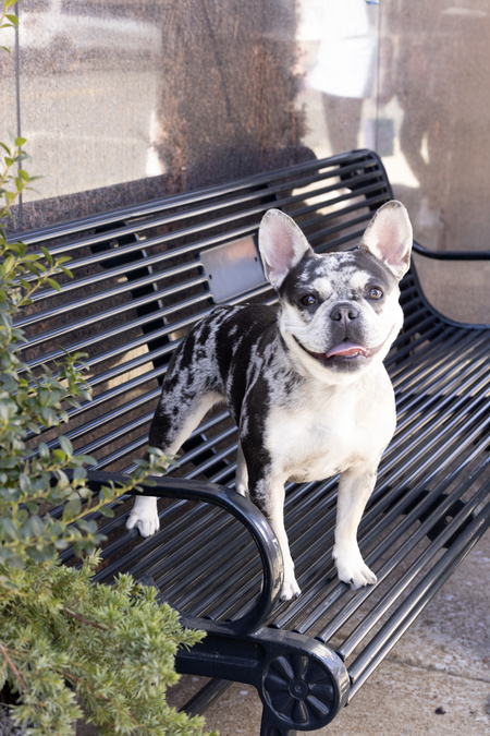 Entry image for Ellie. Clicking this image will show a larger photo