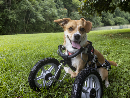 Entry image for Gitchie. Clicking this image will show a larger photo