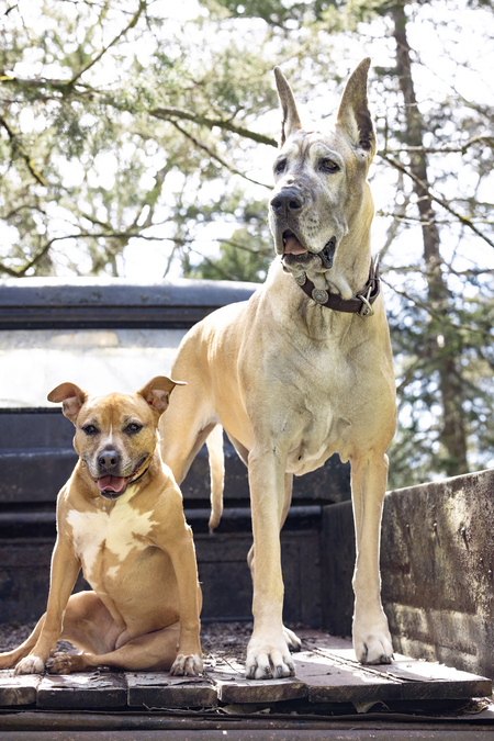 Entry image for Evy Luna. Clicking this image will show a larger photo