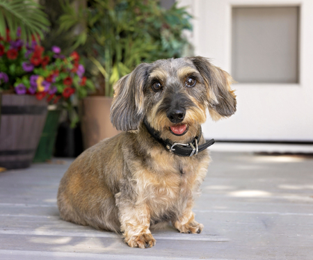 Entry image for Churchill. Clicking this image will show a larger photo