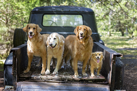 Entry image for Bella Sofia Phrannie Fisher. Clicking this image will show a larger photo