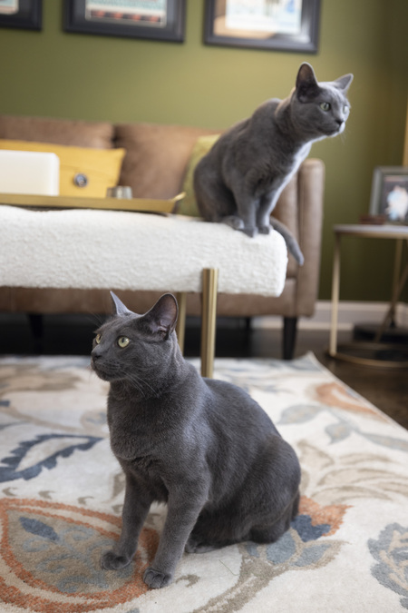 Entry image for Lucy Leo . Clicking this image will show a larger photo