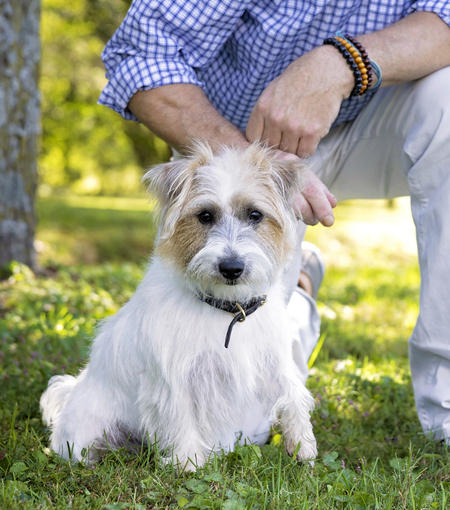 Entry image for Tiggy. Clicking this image will show a larger photo