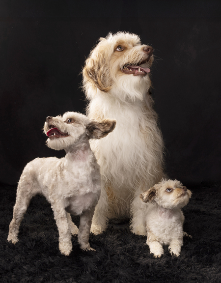 Entry image for Thelma Tooee Irene . Clicking this image will show a larger photo