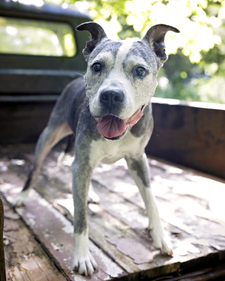 Entry image for Sasha. Clicking this image will show a larger photo