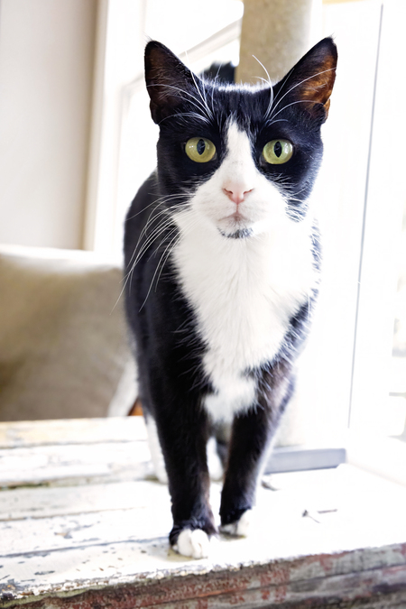 Entry image for Kaly. Clicking this image will show a larger photo