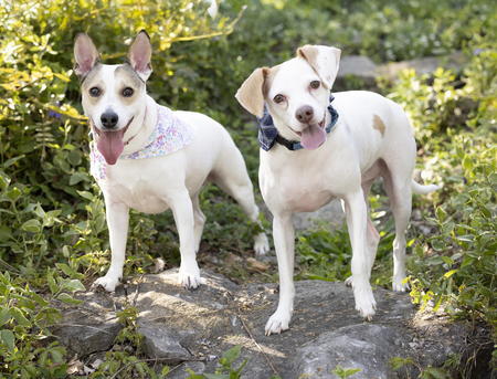 Entry image for Adelaide . Clicking this image will show a larger photo