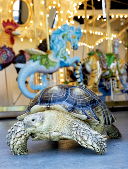 Entry image for Nugget. Clicking this image will show a larger photo