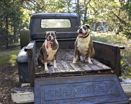 Entry image for Ollie Fiora. Clicking this image will show a larger photo