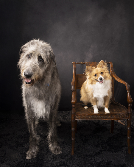 Entry image for Murphy Nugget . Clicking this image will show a larger photo