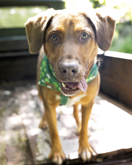 Entry image for Diego. Clicking this image will show a larger photo