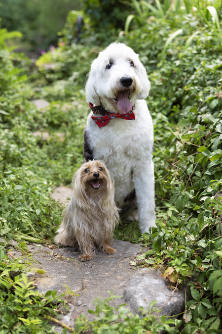 Entry image for Gumbo Luther. Clicking this image will show a larger photo