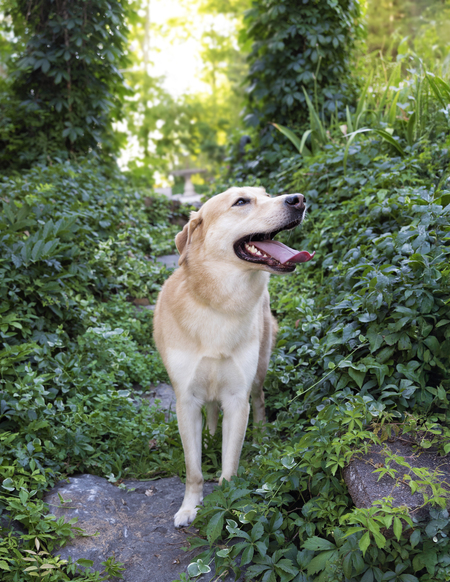 Entry image for Arwin. Clicking this image will show a larger photo