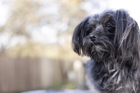 Entry image for Zoe. Clicking this image will show a larger photo