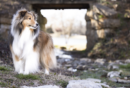 Entry image for Beckett . Clicking this image will show a larger photo