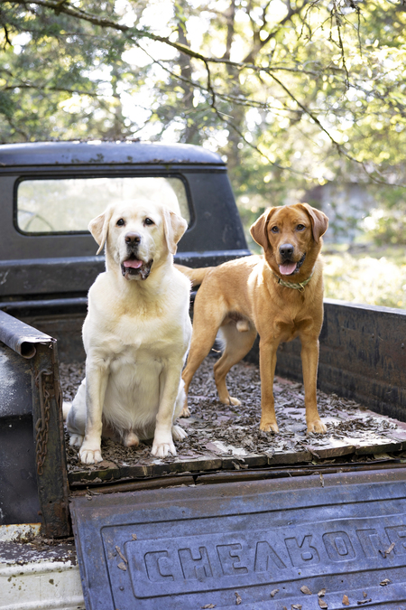 Entry image for Tucker Maverick. Clicking this image will show a larger photo