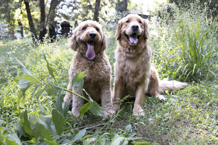 Entry image for George Jack. Clicking this image will show a larger photo