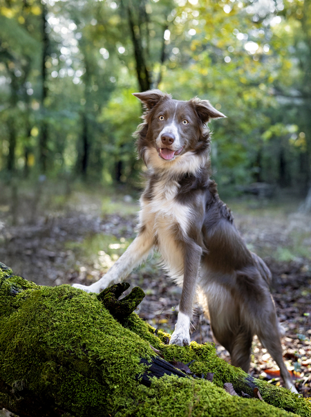 Entry image for Khessie. Clicking this image will show a larger photo