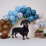 Entry image for Freddie