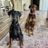 Entry image for Mack and Quinn