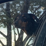 Entry image for Bruce Dante