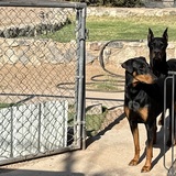 Entry image for Calypso and Boy