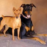 Entry image for Abby