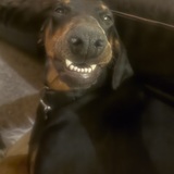 Entry image for Charley