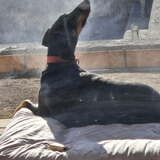 Entry image for Lucy