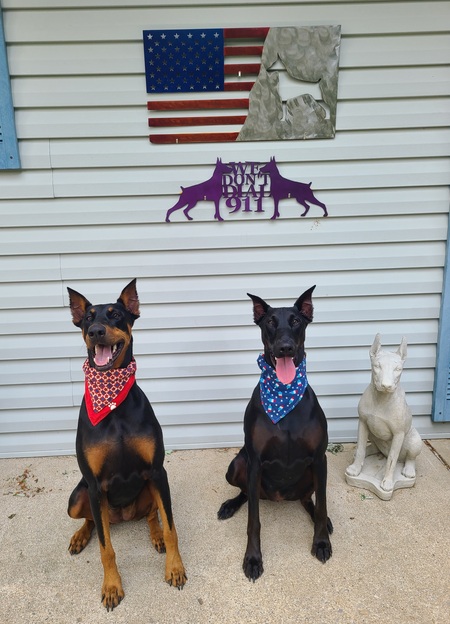 Entry image for Eldi & Nova. Clicking this image will show a larger photo