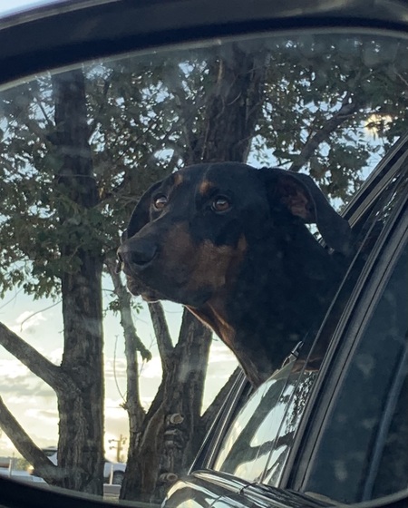 Entry image for Bruce Dante. Clicking this image will show a larger photo