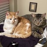 Entry image for Socrates and Valentino 