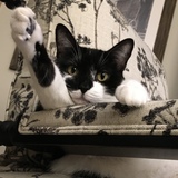 Entry image for Lulu