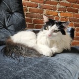 Entry image for Margot