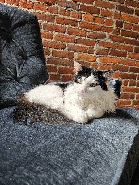Entry image for Margot. Clicking this image will show a larger photo